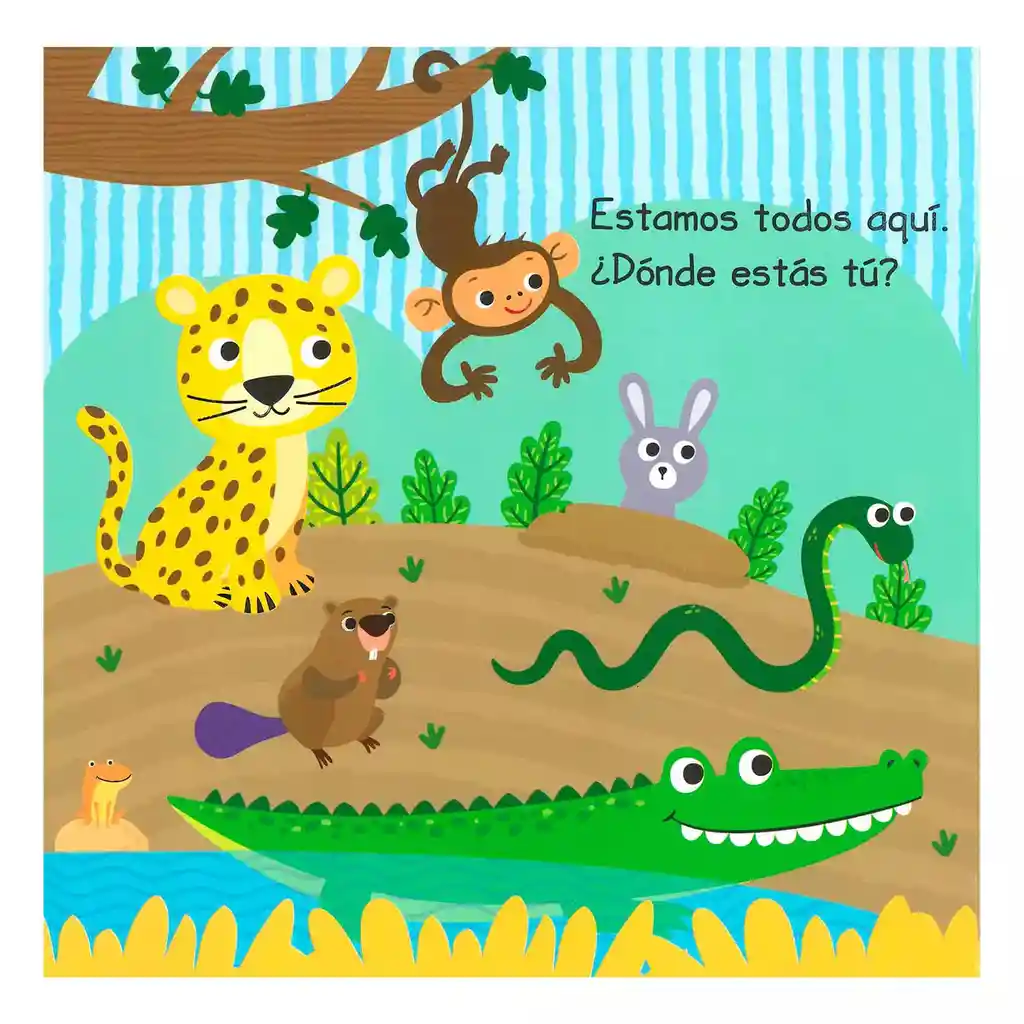 Libro Didáctico Que Animal Se Esconde Peekaboo Niños Bebes