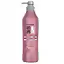 Shampoo Recamier Color Guard Salon In 1000 Ml