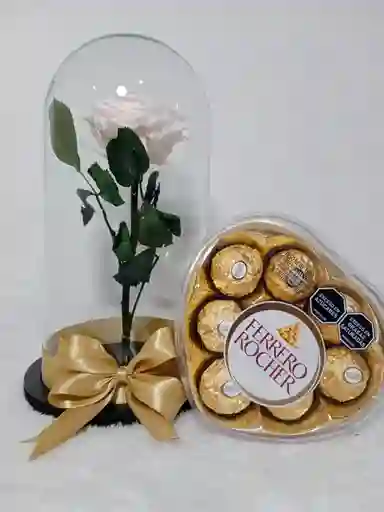 Rosa Preservada Blanca Y Ferrero