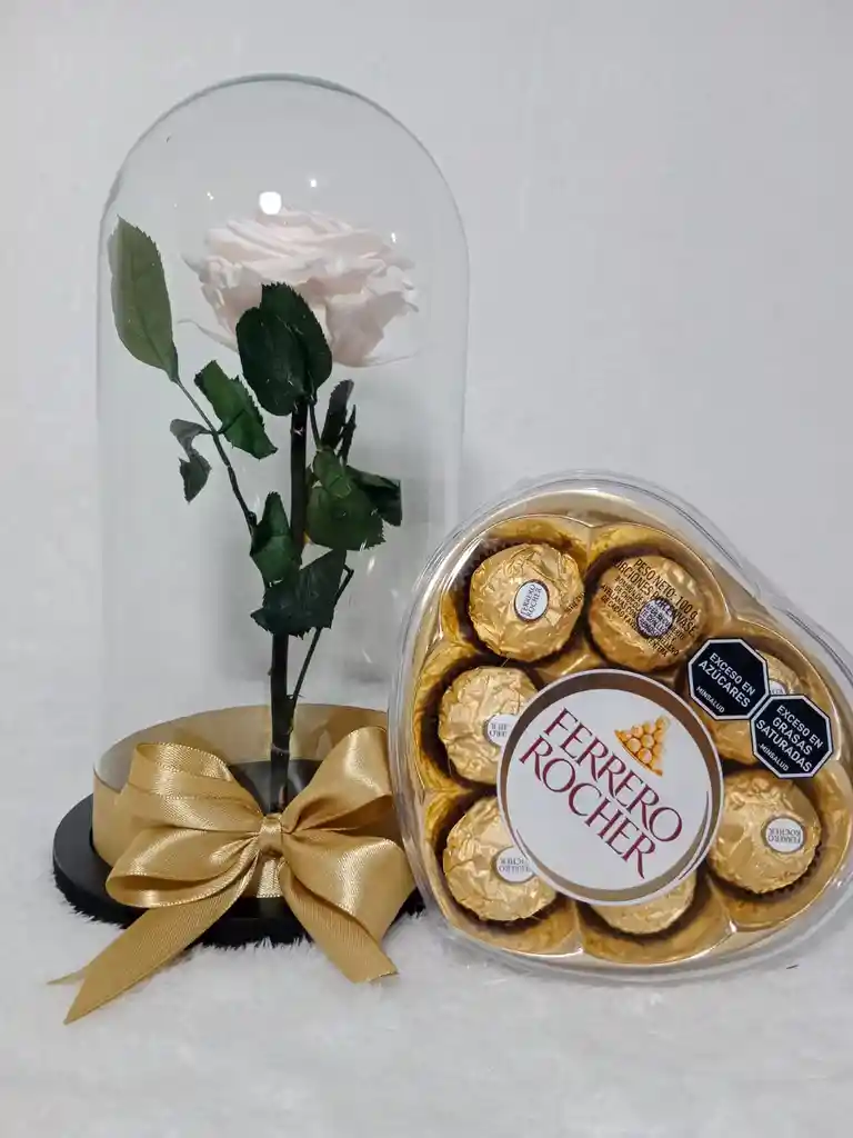 Rosa Preservada Blanca Y Ferrero