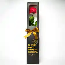 Caja De Regalo