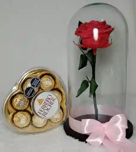 Rosa Preservada Fucsia Y Ferrero Rocher