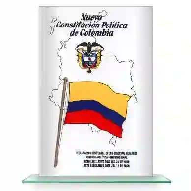 Nueva Constitución Política De Colombia