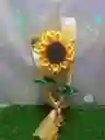 Solitario De Girasol En Cinta Tegnica Eterna