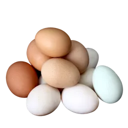 Huevos Criollos (de Colores, De Gallinas Criadas En Espacios Amplios)