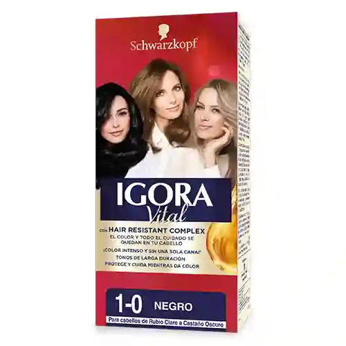 Igora Vital Tinte Igora Vital 1-0 Negro