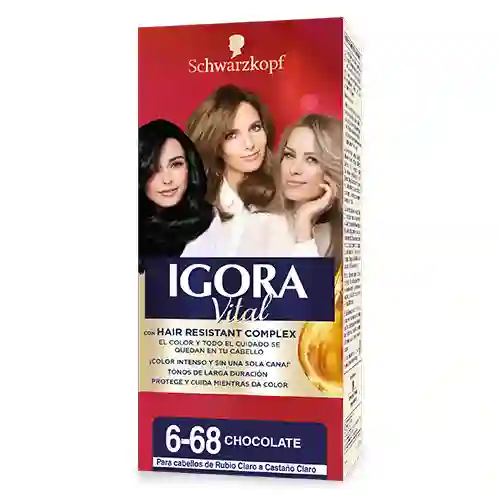 Igora Vital Tinte Igora Vital 6-68 Chocolate