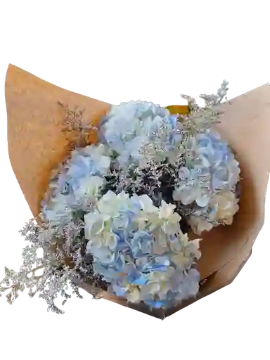 Bouquet De Hortensias X4