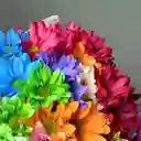 Bouquet De Margaritas Multicolor
