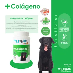 Mungos + Vital Colageno X 150 Gr