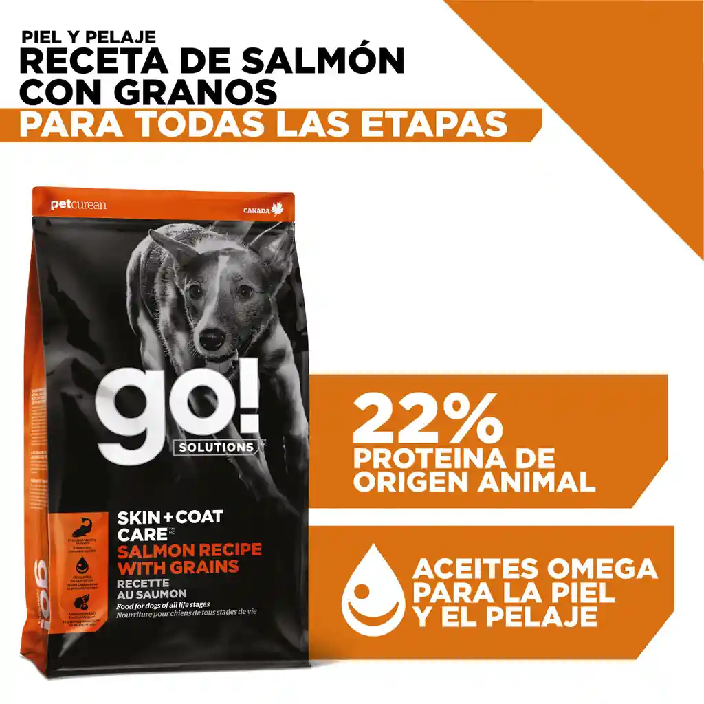 Go! Skin + Coat Care Salmon Recipe With Grains For Dogs 5.4kg