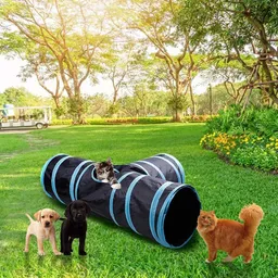 Túnel Interactivo Para Mascotas Gatos Cobayos Conejos Perros