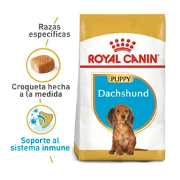 Royal Canin - Dachshund Puppy 2.5 Lb