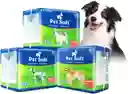 Pañal Perro O Gato Desechable Talla M X 12 Und Pet Soft