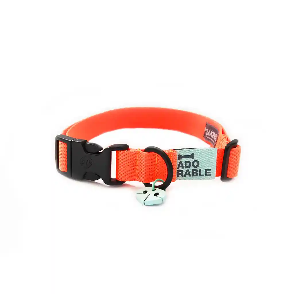 Collar M Unicolor Adorable Naranja Neón