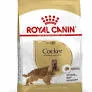 Royal Canin - Cocker Adult 3 Kg