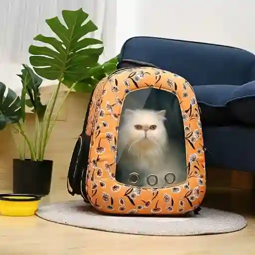 Maleta Cápsula Morral Para Mascotas De Diseños