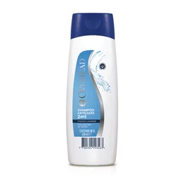 Overhead Shampoo Anticaspa 2 En 1