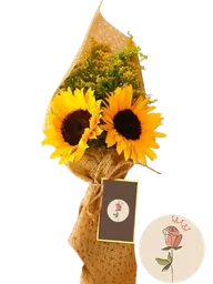 Girasoles Duo