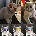 Lentes Gafas Para Perros Y Gatos Pequeños