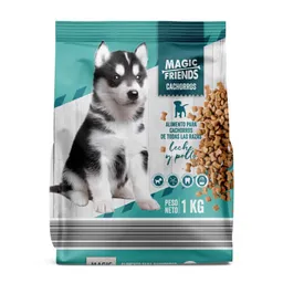 Magic Friends Alimento Para Cachorros