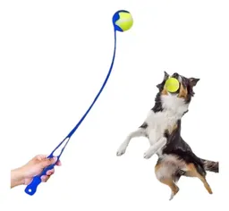 Juguetes Mascotas Lanzador Pelotas Plástico Incluye Pelota