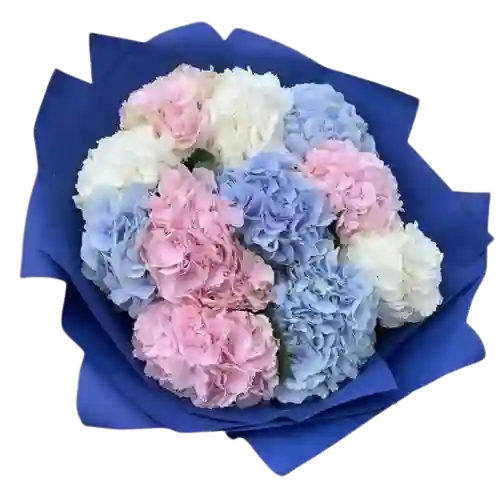 Hortensias Rosadas, Azules Y Blancas