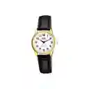 Reloj Qyq Mujer C215j104y Cuero Dama Original + Estuche