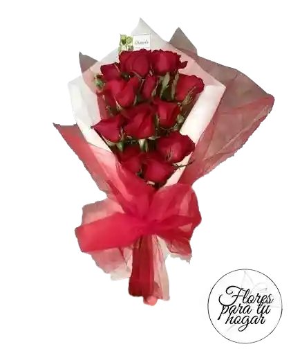 Rosas Rojas X12