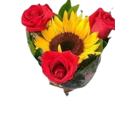 Girasol Y Rosas Feliz Día Amor