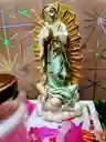 Virgen De Guadalupe Mariposa