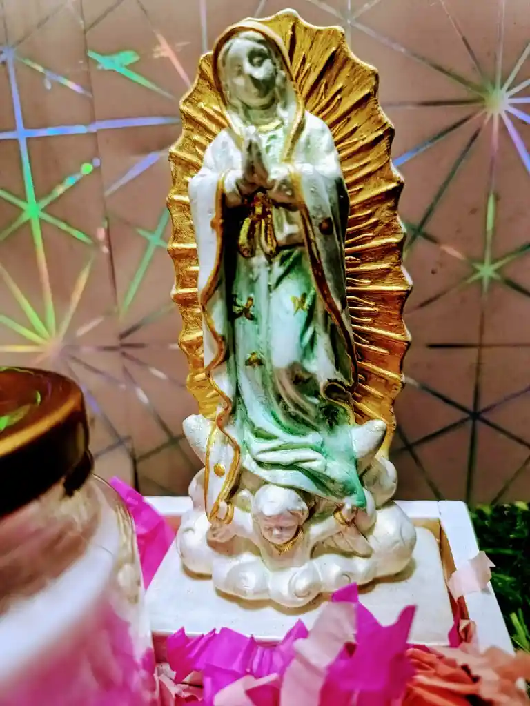 Virgen De Guadalupe Mariposa