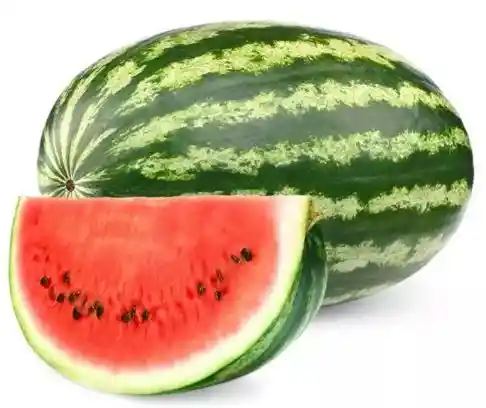 Sandia Patilla