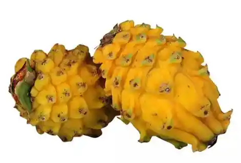 Pitahaya