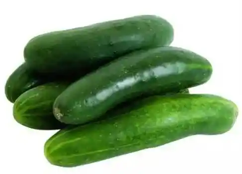 Pepino Cohombro