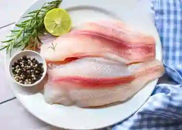 Tilapia