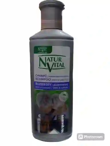 Champu Para Cabellos Blancos Y Grises X 300 Ml Natur Vital