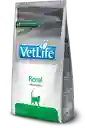 Vet Life Feline Renal 2kg Vetlife Gatos Renal 2 Kg