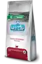 Vet Life Feline Gastrointestinal 2kg Vetlife Gatos Gastrointestinal 2 Kg Cuidado Digestivo