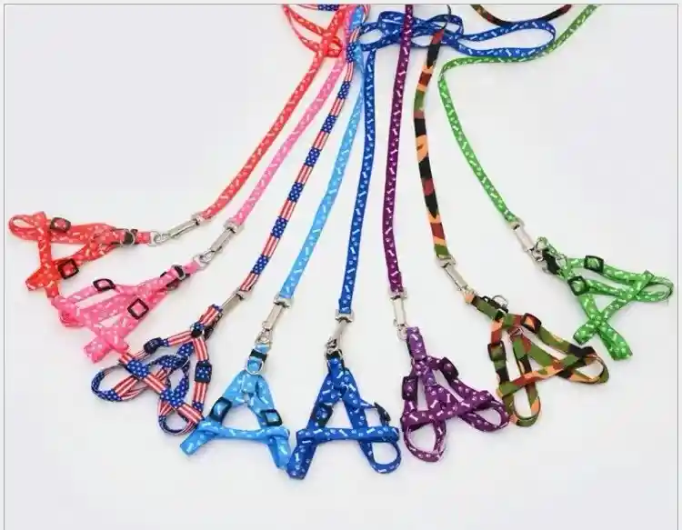 Calabaza Pets Arnes Y Correa Multi Diseño Talla L