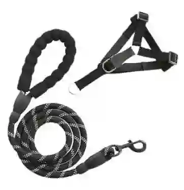 Calabaza Pets Arnes Con Trailla Reflectiva Talla S