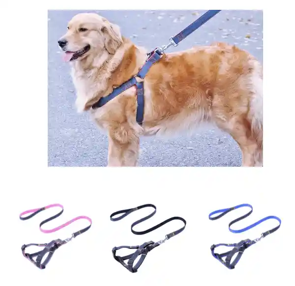 Calabaza Pets Trailla Y Arnes De Jean Talla S