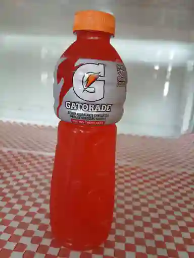 Gatorade De 500 Ml