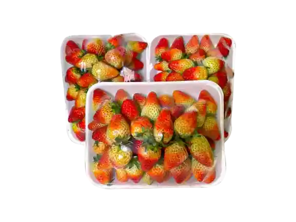 Fresa Bandeja