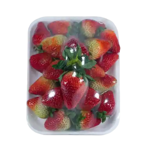 Fresa Bandeja