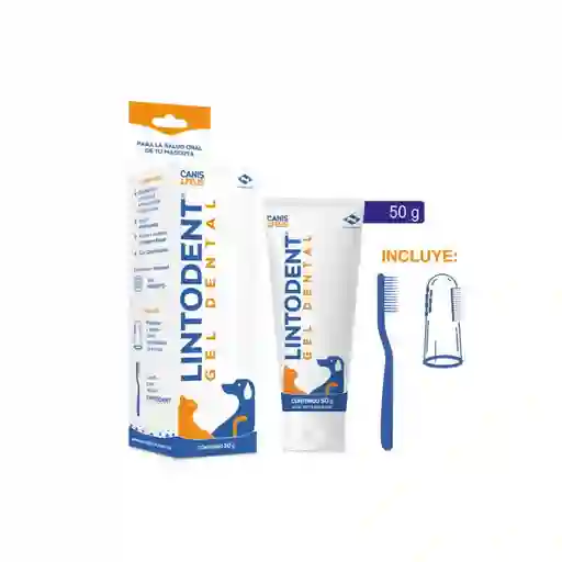 Lintodent
