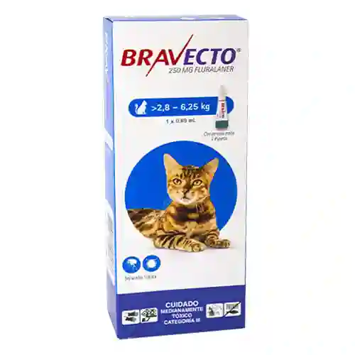 Bravecto Cat 2,8 A 6,2 Kg