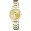 Reloj Mujer Qyq Q949j400y Acero Bicolor Mujer + Estuche