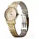 Reloj Qyq Mujer Qa57j010y Acero Dorado Dama + Estuche