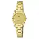 Reloj Mujer Qyq Q877j010y Dorado Acero Mujer + Estuche